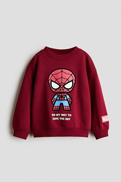 H&M Printed brushed-inside sweatshirt