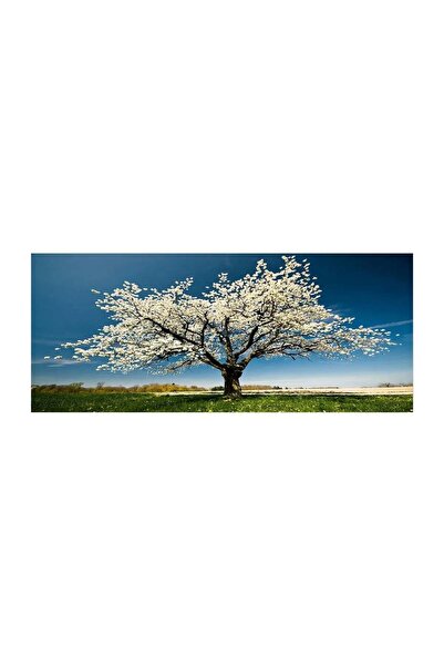 OEM Tablou decorativ pe pânză Wallxpert, 50x120 cm, 100% pânză, 100% ramă din...