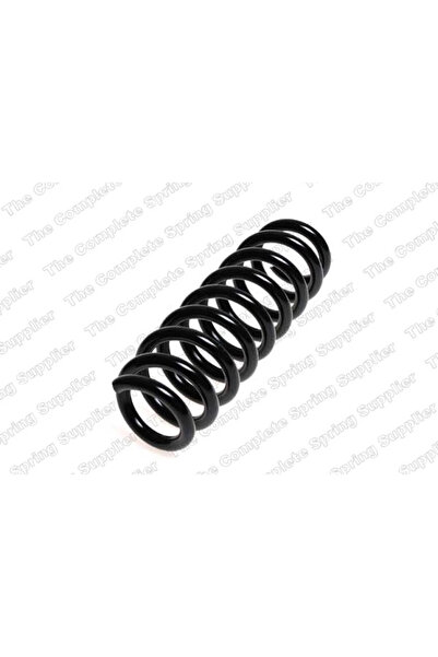 LESJOFORS Arc Spiralat Elicoidal Puntea Spate 4208454 Bmw 1
