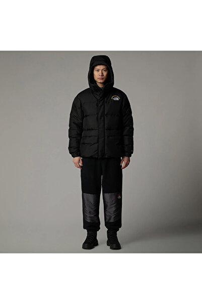 THE NORTH FACE Men's Hmlyn 30 Anniversary Parka