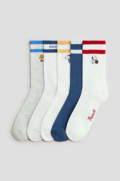 H&M 5-pack intarsia motif socks