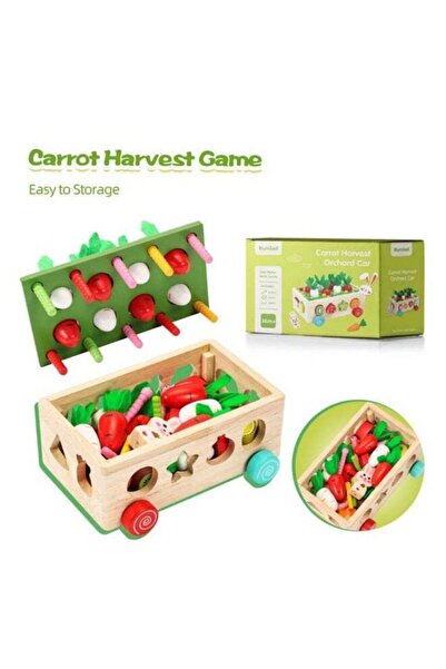 JUNEVAX Generic Wooden Montessori Shape Sorting Puzzle Toy | Educational Wood...