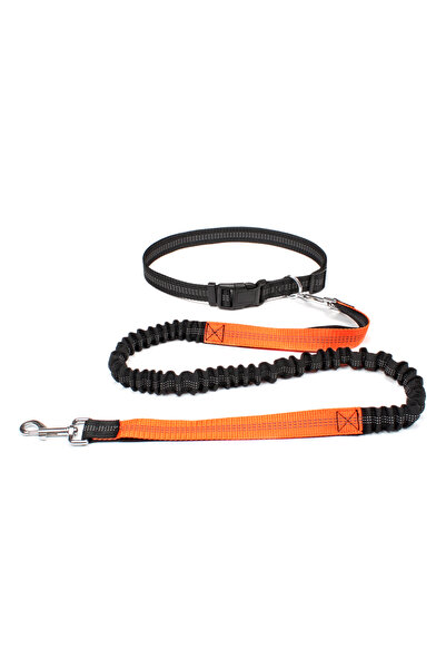 Choice Orange Hand Free Dog Leash for Pet Walking Running Jogging Adjustable ...