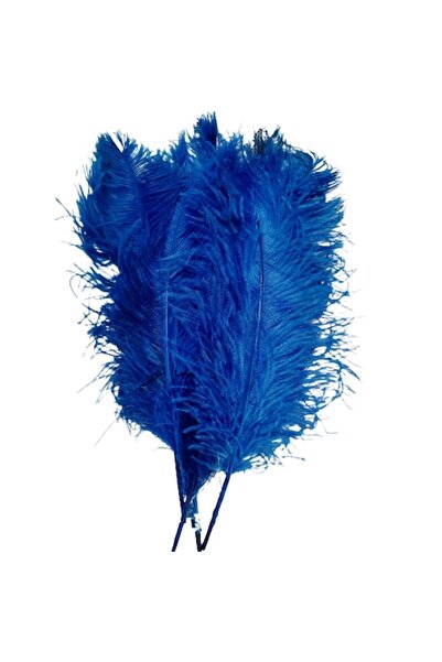 OEM Set de 3 pene de struț, lungi de 60 cm, culoare albastră, lățime 20-25 cm