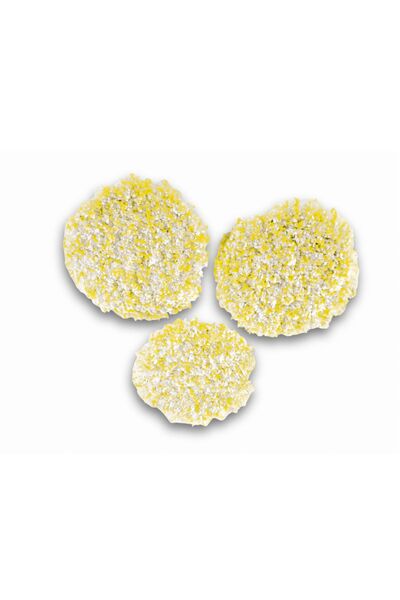 Karcher Discuri de lustruit pentru piatră/linoleum/PVC