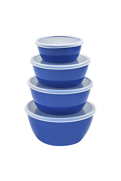 STARSTAR set of 4 round, sealed plastic mixing bowls with lids.
