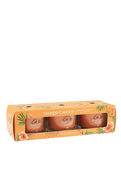 Yankee Candle Τροπική Αύρα κερί ντυμπόουρ σε γυάλινο βάζο, 3 x 37 γρ.