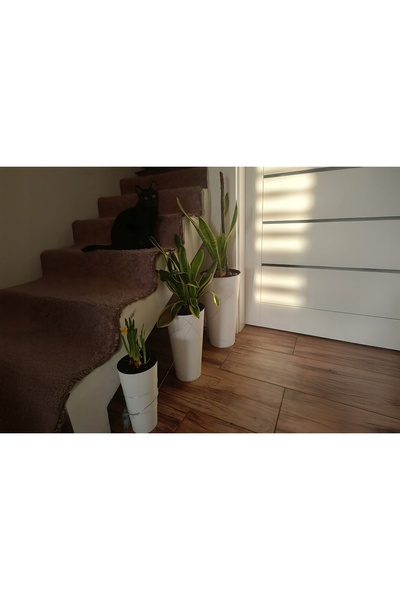 Deco4Home SET 3x JARDINIERE ALBE ROTUNDE LUCIOASE PENTRU TEREȚE + INGREDEȚE