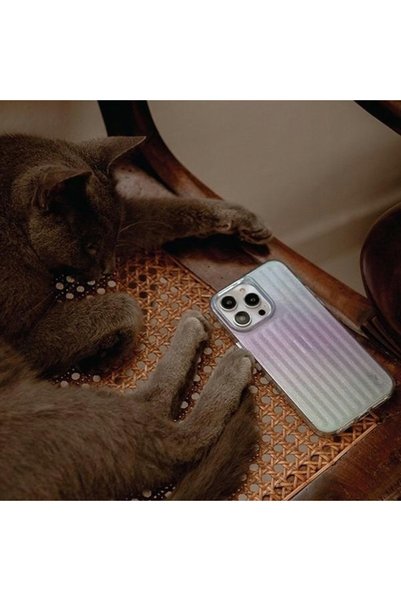 uniq Husă liniară COEHL pentru iPhone 14 Pro 6,1, magnetică, de înaltă calitate