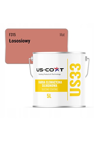 NO BRAND Vopsea pentru fațade siliconice, culoare somon F315 UV, 5L, Producător