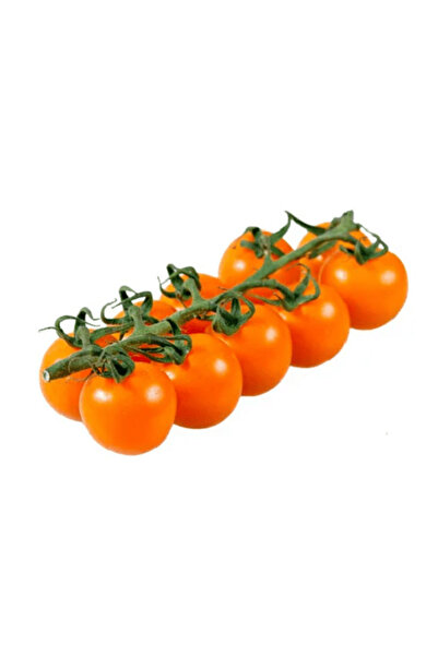 Garden Σπόροι Πορτοκαλί Ντοματίνι F1