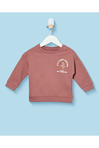 REDTAG Infant Boys Rust Placement Print Crew Neck Sweatshirt