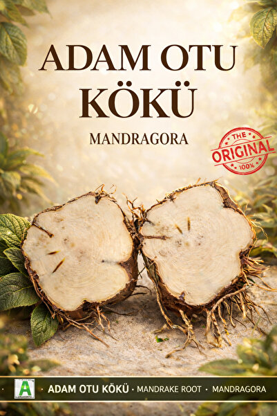 Aktarzane Adam Otu Adamotu Kökü Mandragora Officinarum 100gr