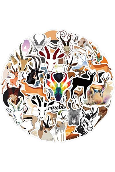 Generic 60 Pcs Waterproof Sports Soccer Stickers Soccer Accessories Water Bot...