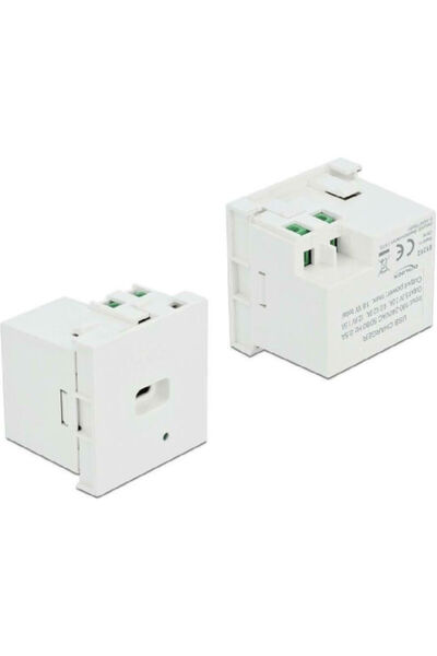 DELOCK Easy 45 Εντοιχιζόμενη Πρίζα Ρεύματος με 1 Θύρα USB Λευκό