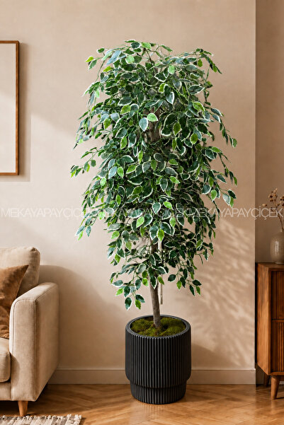Meka Yapay Çiçek Benjamin Yapay Ağaç (Starlight) 180 CM Vega Saksı