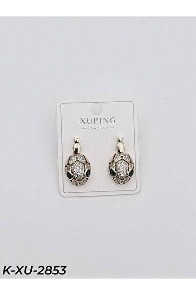 Bozhi Earrings Earrings Special Design Gift