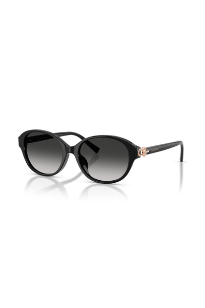 Tiffany Tf 4263D 80013C 54 & Co. Sunglasses