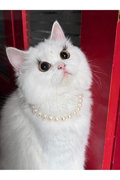 Kedi ve Küçük Köpekler için Zarif İnci Kolye