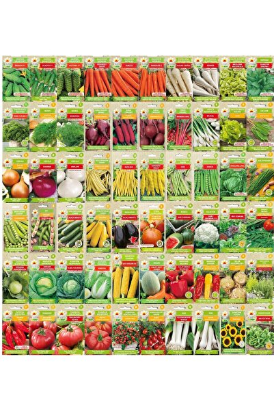 NO BRAND BOGATY Set de semințe pentru legume de primăvară 60 opk