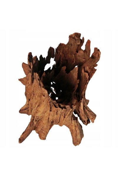 Terrario PHILIPPINES CLASSIC DRIFTWOOD – LEMN DE MANGROV DIN APĂ XL 40 CM – 5...