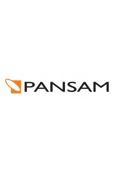 Pansam Cuie pentru lemn A536045 45 mm 5000 bucăți