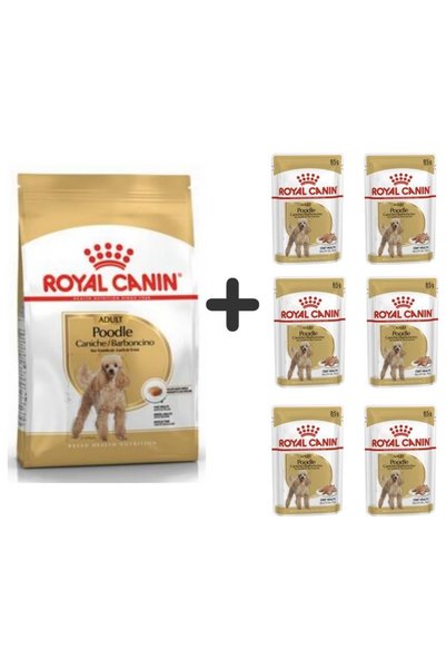 Royal Canin Poodle Adult Köpek Maması 3 kg + 6 Adet Yaş Mama