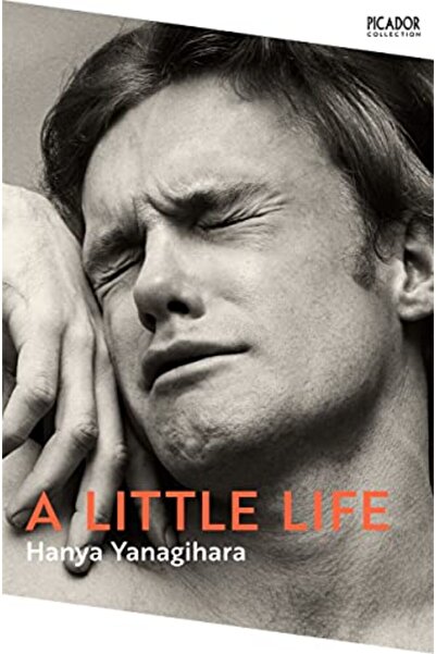 Picador A Little Life