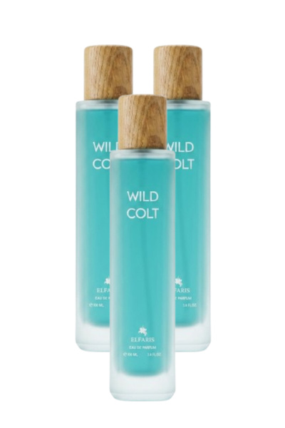 ELFARIS 3 Pieces Wild Colt Perfume 100ML