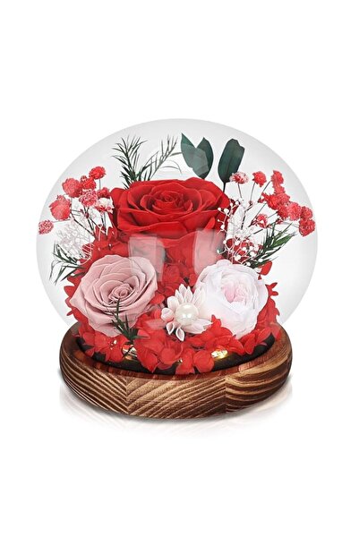 Generic Brand Preserved Real Rose in Glass Dome with LED Light, Eternal Prese...