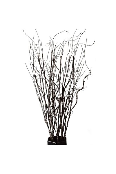 Generic FeiLix 10PCS Lifelike Curly Willow Branches Decorative Dried Artifici...