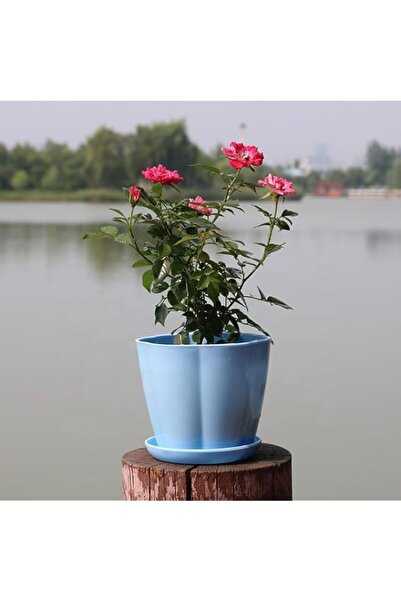 Generic Flower Pot with Tray, Flower Pots Set, Round Flower Pots, Small Flowe...