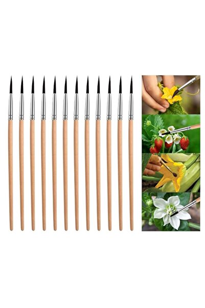 Generic 12 Pack Pollinating Brush for Indoor Hydroponic Plants, Wood Handle P...