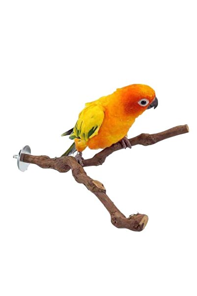 Generic Parrot Natural Wood Stick Bird Cage Perch, Cockatiel Parakeet Claw Gr...