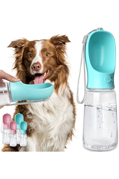 Generic Brand Water bottle 19oz, blue, leak-proof.