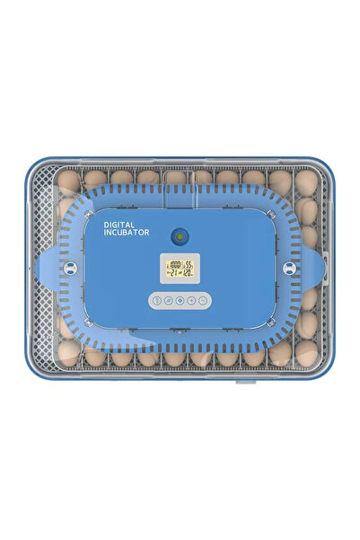 Generic Brand Hk70 Fully Automatic Digital Incubator with Spare Motor, Feeder...