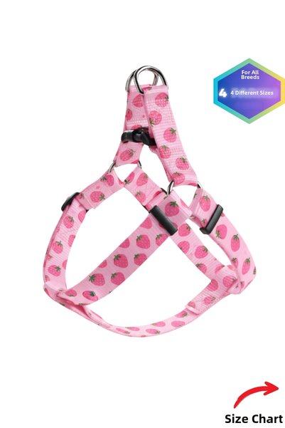 Empressco Multi-Adjustable Pink Strawberry Patterned Dog Collar, Suitable for...