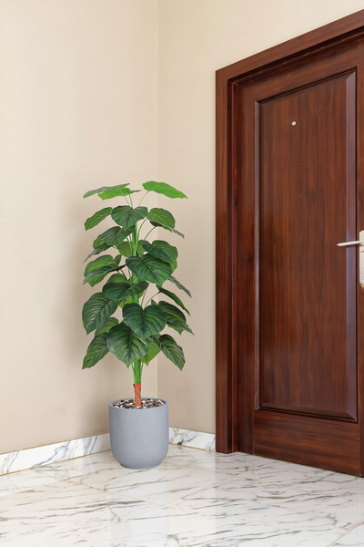 MARIA HOMES 163 cm Artificial Heart Leaf Plant in Fiber Pot for Home & Office...