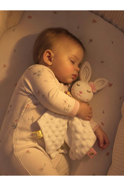 BBSKY Bebek Uyku Arkadaşı - Yumuşak Peluş Diş Kaşıyıcılı Uyku Oyuncağı, Yenid...