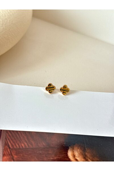 YOUES JEWELRY أقراط كلاسيكية صغيرة من الفولاذ البني