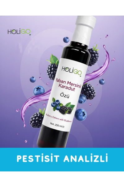 HOLİGO Yaban Mersinli Karadut Özü 250ml (PESTİSİT ANALİZLİ) 330 Gr