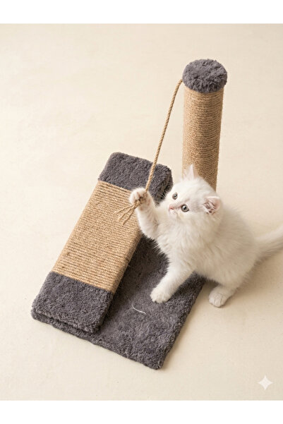 PATİZİSHOP Cat Scratching Tower & Ramp Black