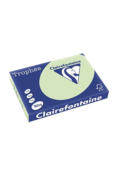 Clairefontaine Carton A3 160 g/m² culoare palida 250 coli/bloc verde jad