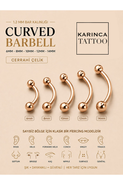 Karınca Piercing Kaş Piercing Tragus Rook Conch Orbital Smiley Septum Surface...