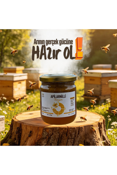 Safran Güneşi Apilarnilli Karışım 230g
