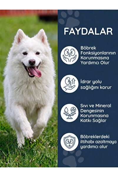 Dr. Nature's Köpekler İçin Renal Destek 75 Tablet Böbrek ve Fonksiyon Destekleyici Takviyesi