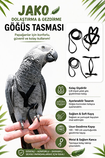 ozzipetshop Jako Papağan Tasması Ayarlanabilir Gezdirme Tasması 140 cm Hafif ...