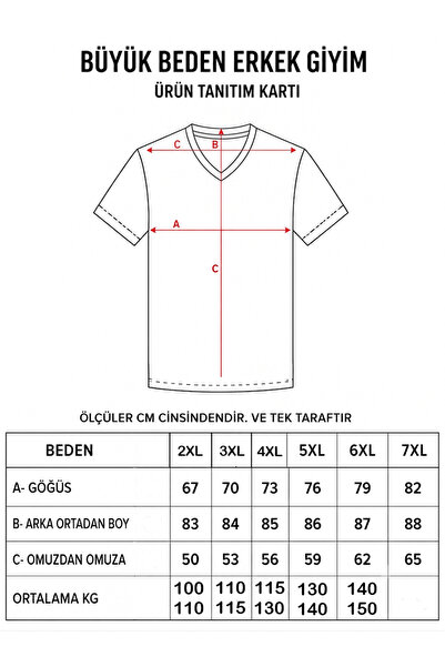 BİG NONA Men's Large Size V-Neck Short Sleeve T-Shirt / 100% Cotton Kagi Fabric