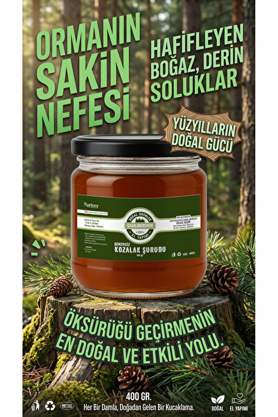 Çamlıdereden Doğal Ürünler Şekersiz Çam Kozalağı Şurubu 400 gr