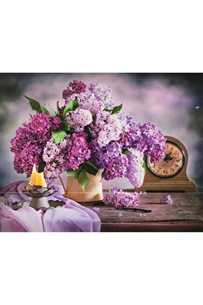 TRENDHOBİEVİ Hı Stone 5d Elmas Boncuk Taş Işleme Mozaik Goblen Kit 50x40cm